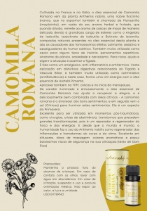 Folder Camomila Romana