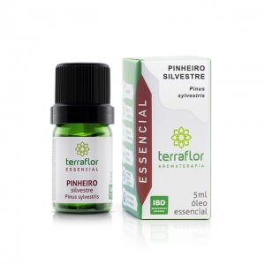 Óleo Essencial de Pinheiro Silvestre 5mL - Terra Flor