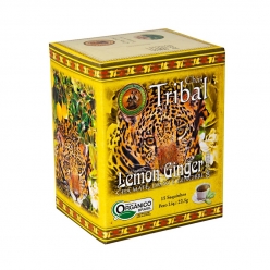 Chá Orgânico Erva Mate Lemon Ginger Caixa 22,5g - Tribal Brasil