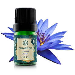 ÓLEO ESSENCIAL LÓTUS AZUL 5ML 10% TERRA FLOR