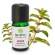 ÓLEO ESSENCIAL MENTA BRASILEIRA 10ML - TERRA FLOR