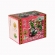 Chá Orgânico Erva Mate Hibiscus Lime Caixa 30g - Tribal Brasil