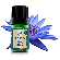 ÓLEO ESSENCIAL LÓTUS AZUL 5ML 10% TERRA FLOR