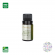 Óleo Essencial de Alecrim qt. Cânfora 10 mL - Aromalife