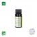 Óleo Essencial de Tea Tree Melaleuca Orgânico 10 mL - Aromalife